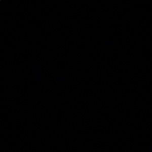 Meet your Posher, Ali